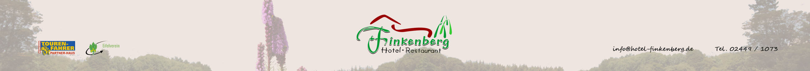 Hotel Finkenberg